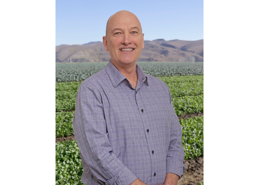 Gold Coast Packing makes changes to executive team The Packer